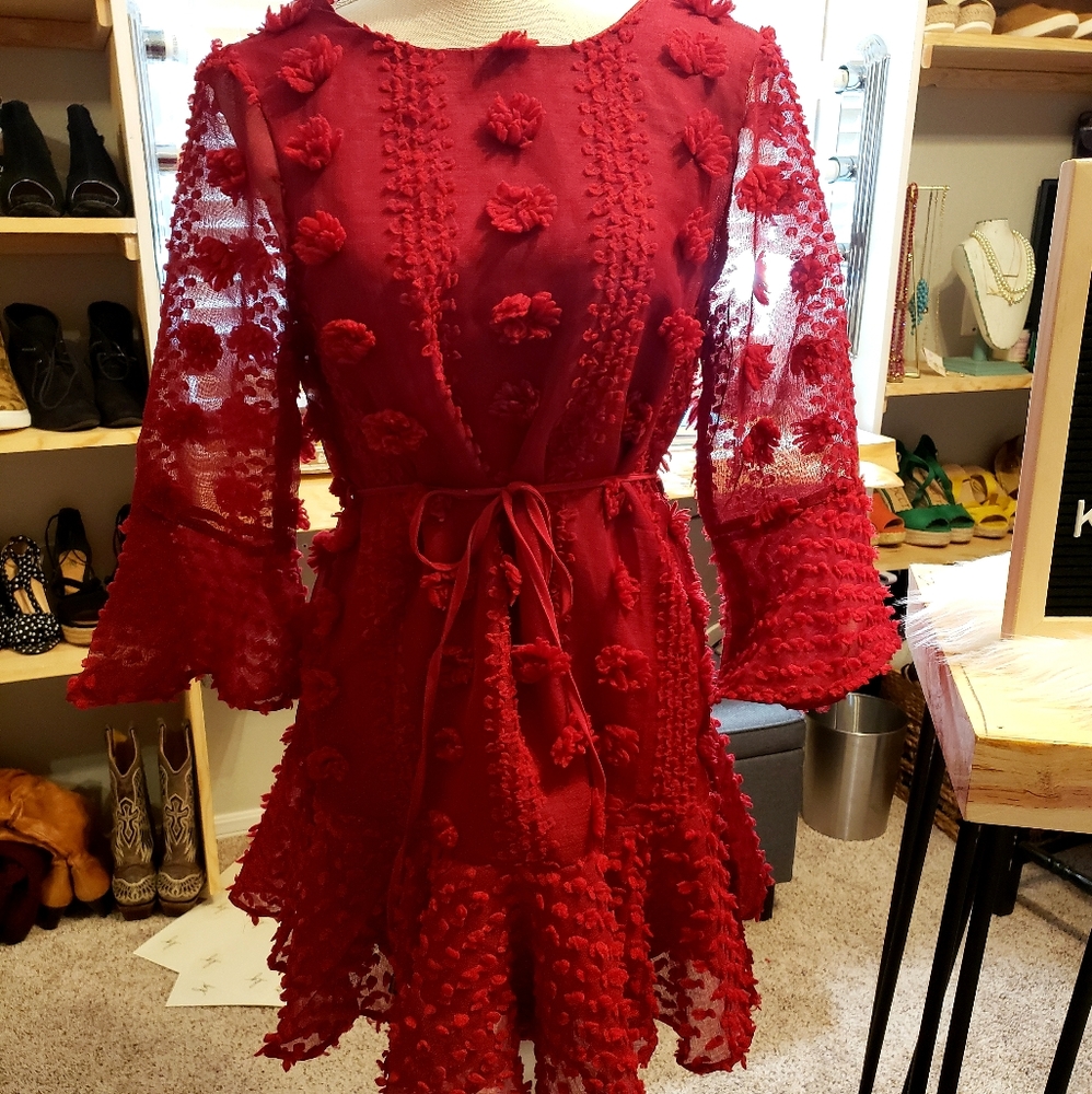 NWT Gorgeous red dress (more crimson)!!!